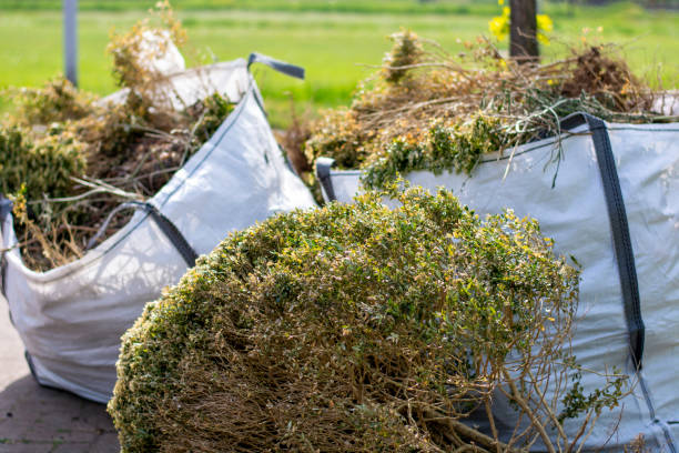 Best Construction Debris Removal  in Pumpkin Center, NC